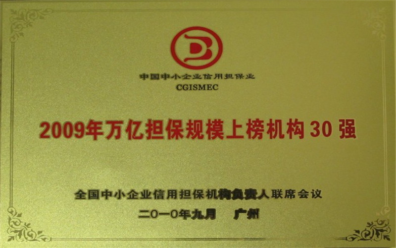 2009年萬億擔保規(guī)模上榜機構(gòu)30強