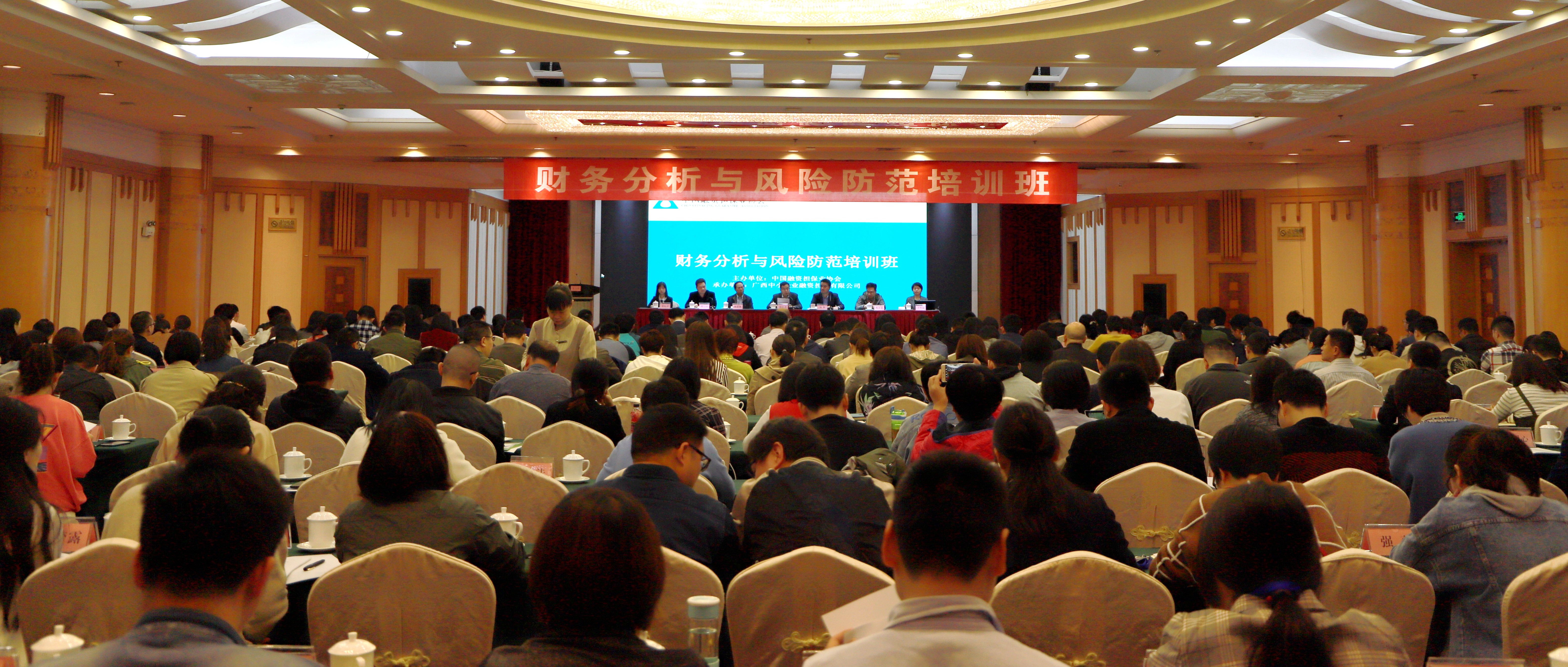 廣西中小企業(yè)融資擔(dān)保有限公司承辦中國融資擔(dān)保業(yè)協(xié)會財(cái)務(wù)分析與風(fēng)險(xiǎn)防范培訓(xùn)班