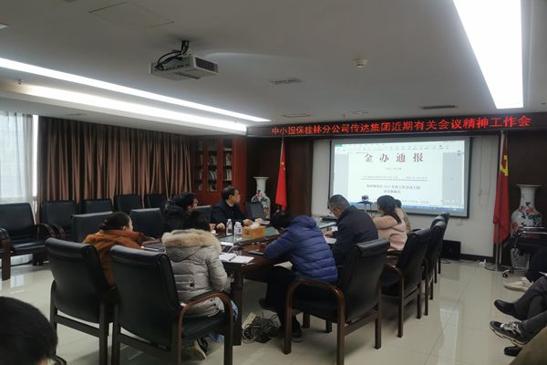 中小擔(dān)保桂林分公司召開專題會議傳達(dá)落實集團(tuán)近期有關(guān)會議精神